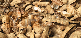 Peanut Shell